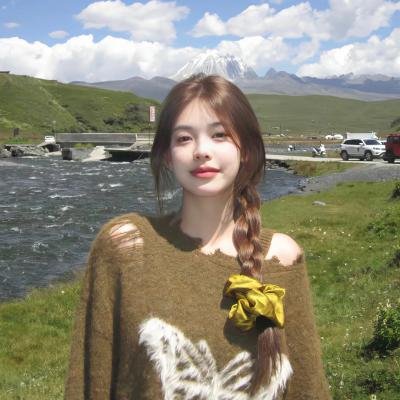 辛普森一家第三十五季